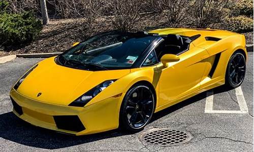 Gallardo_gallardo是大牛还是小牛